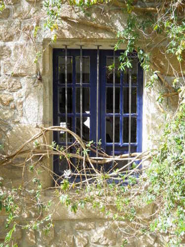 Hans G&uuml;nter Blau:2o